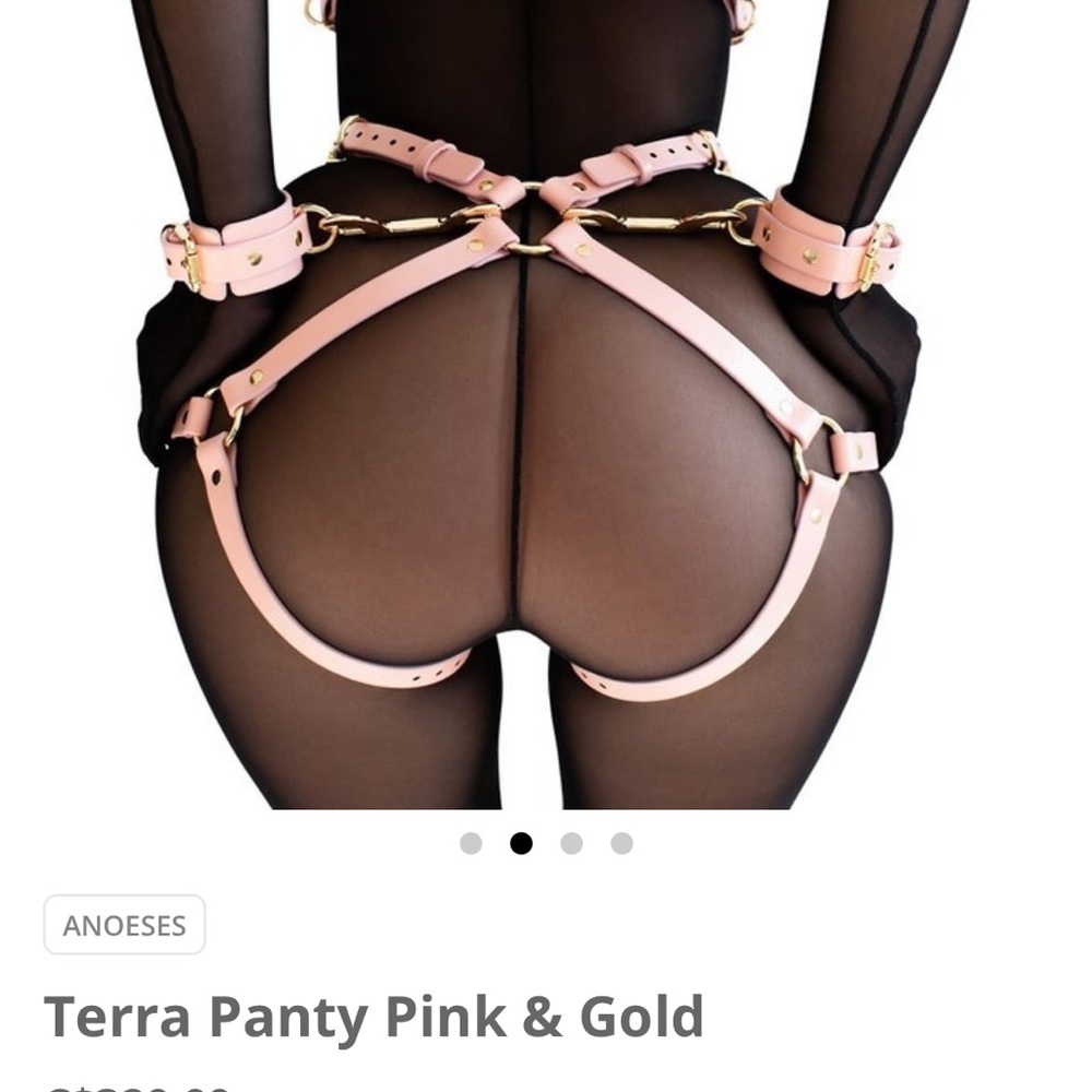 Anoeses Leather Pink Terra bondage Lingerie Set